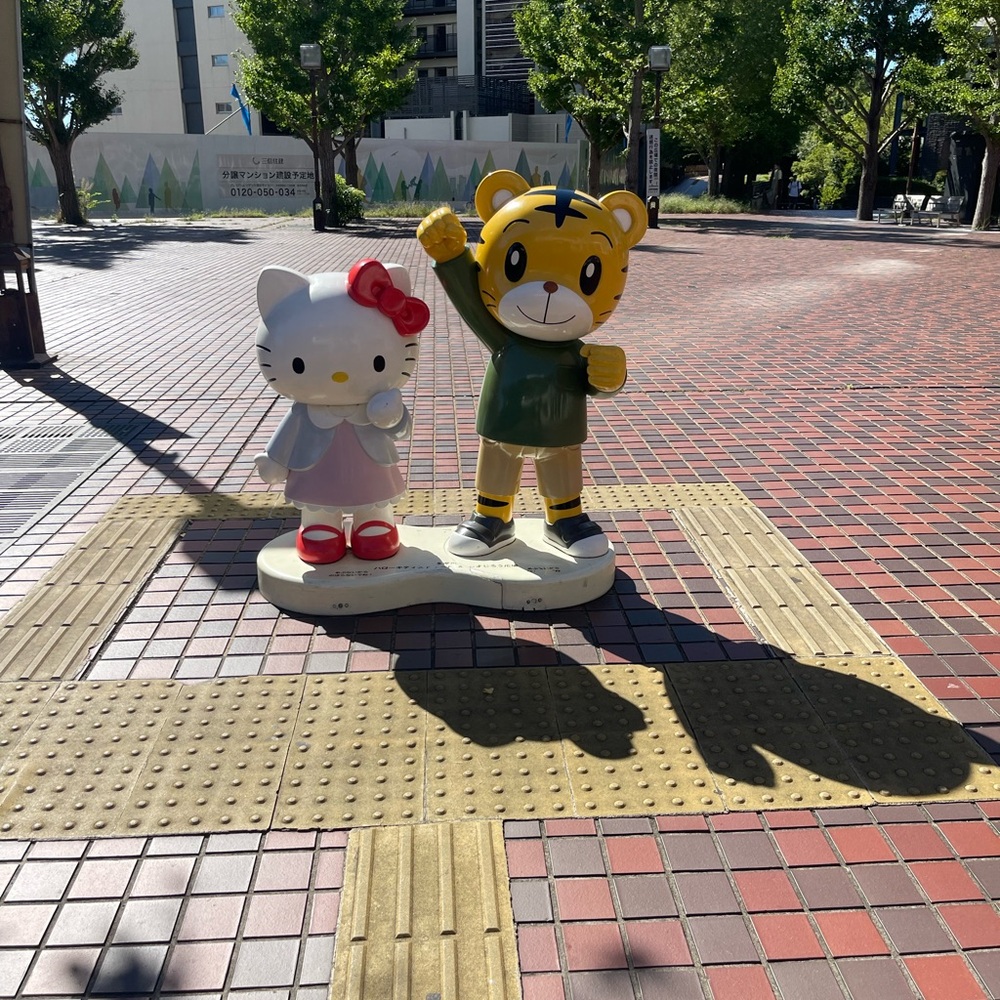 Meet your Posher, Raylin